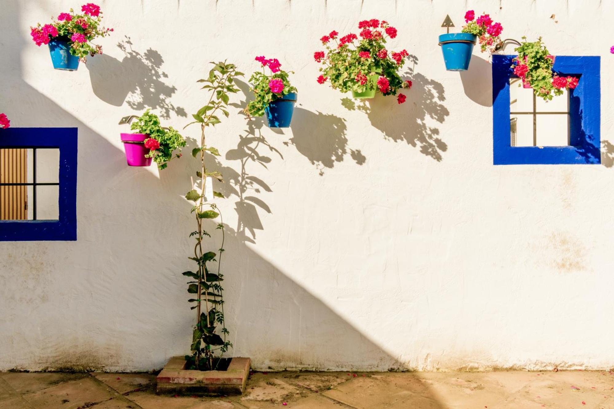 Casa Del Patio - Boutique Apartments (Adults Only) Εστεπόνα Εξωτερικό φωτογραφία