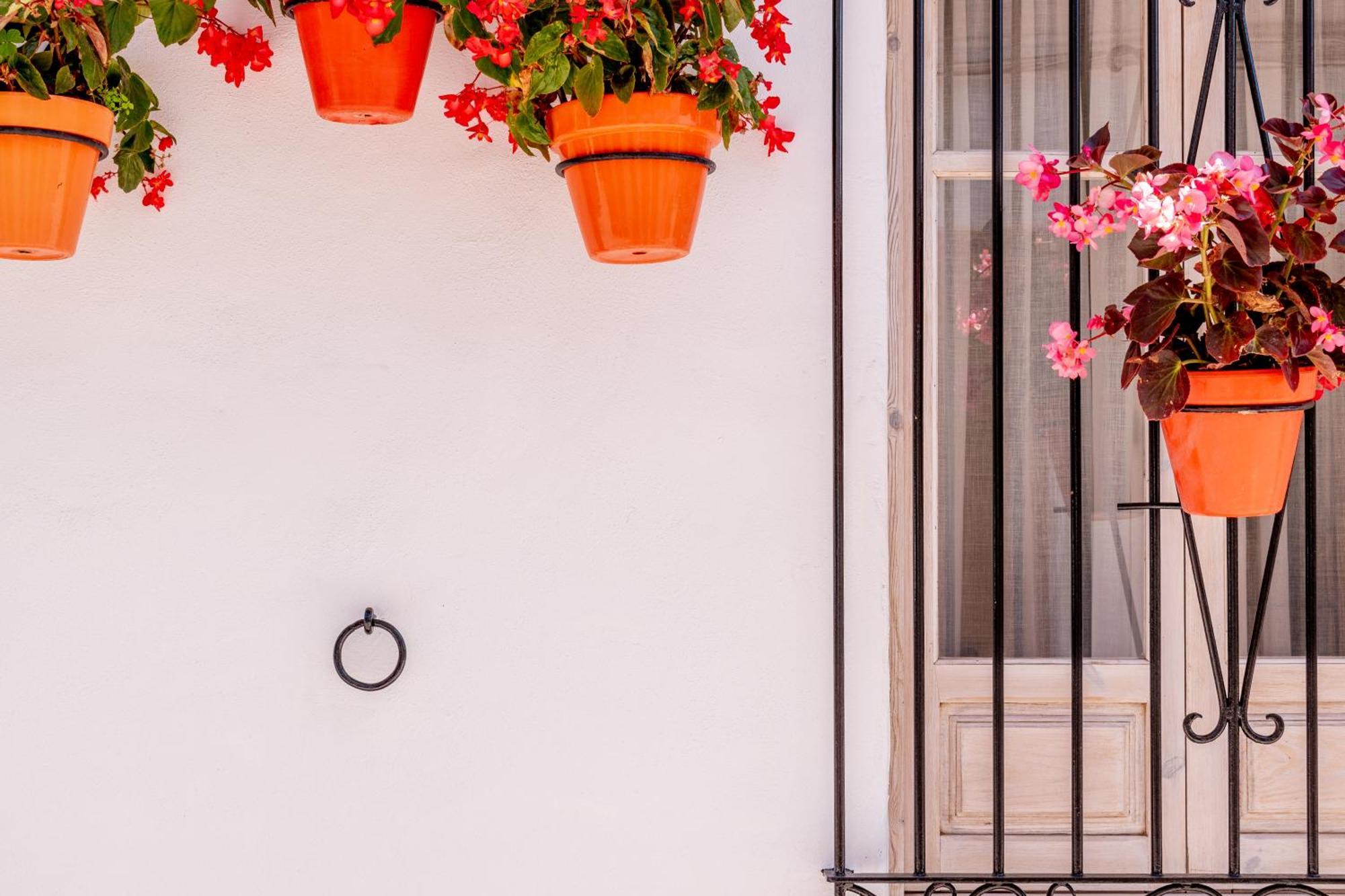 Casa Del Patio - Boutique Apartments (Adults Only) Εστεπόνα Εξωτερικό φωτογραφία